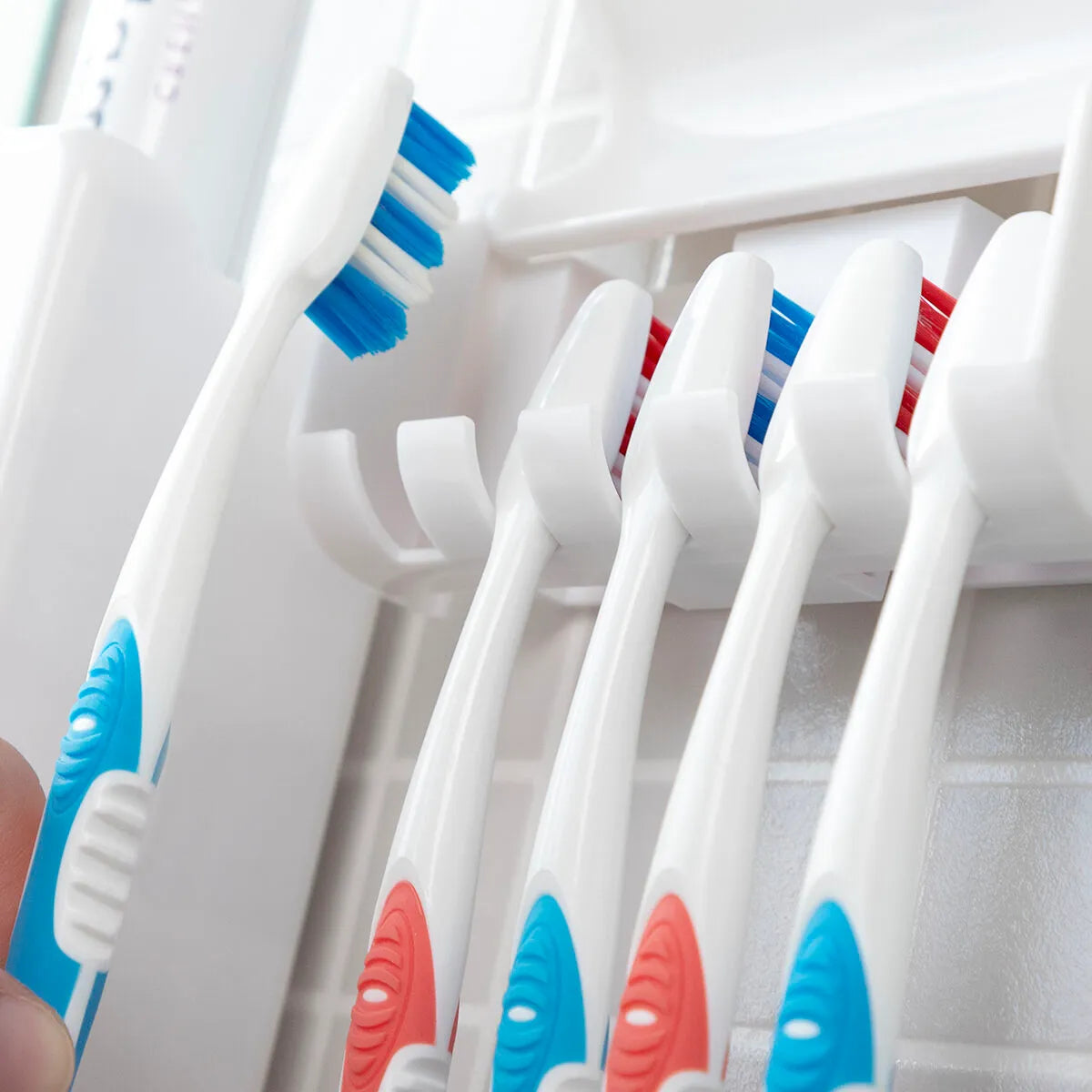 Organizador De Cepillos y Dispensador De Pasta Dental